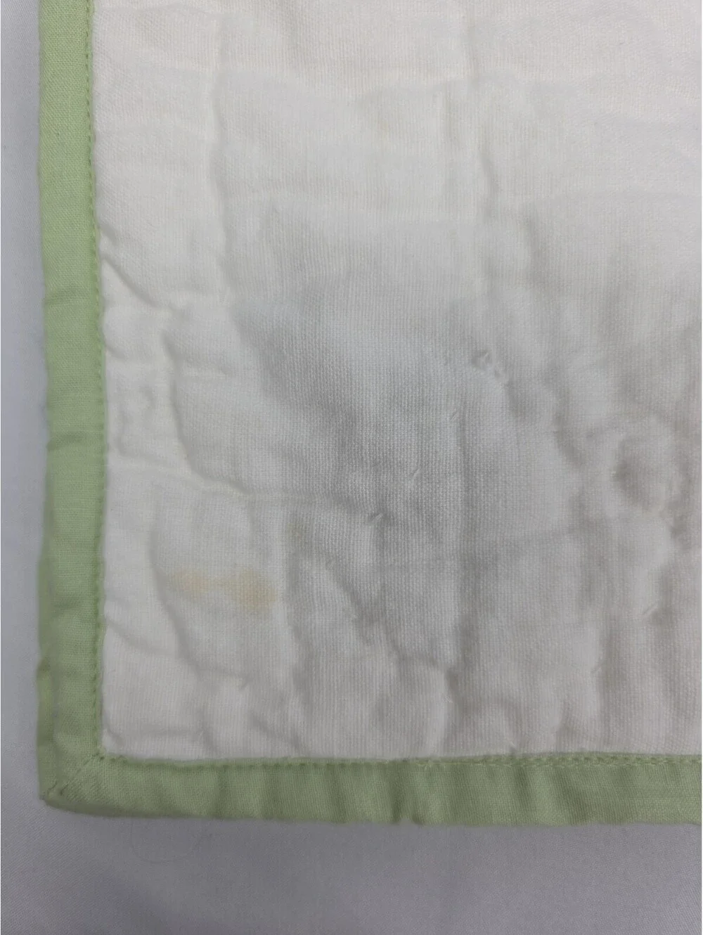 POTTERY BARN Monique Lhuillier MEADOW Embroidered Quilt Shams 26